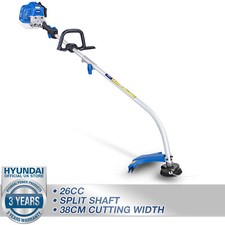 Petrol Strimmer Garden Grass